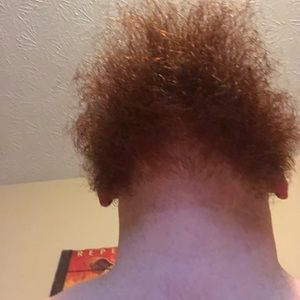 Meet your Posher, Benjamin